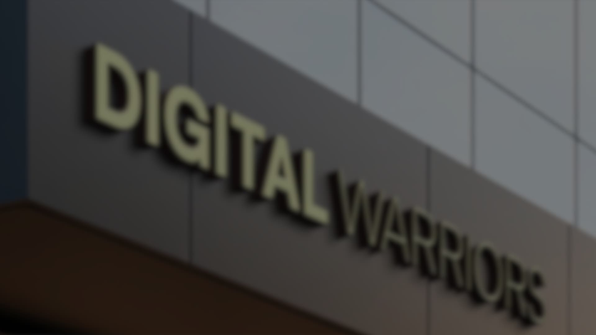 Digital Warriors